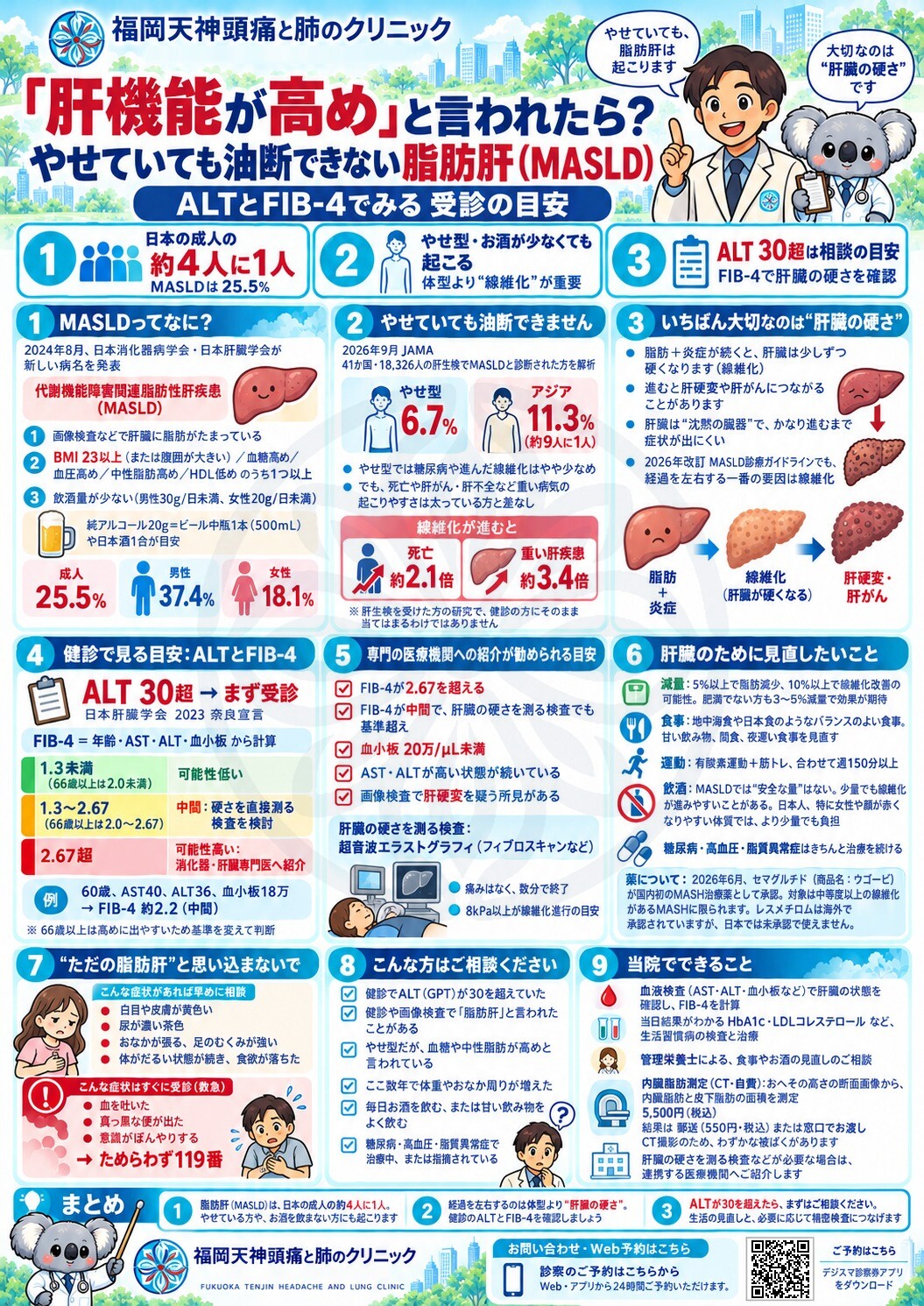 「肝機能が高め」と言われたら? ― やせていても油断できない脂肪肝(MASLD) 記事のポイント図解